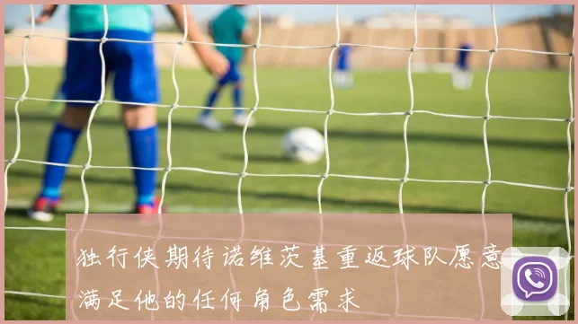 独行侠期待诺维茨基重返球队愿意满足他的任何角色需求