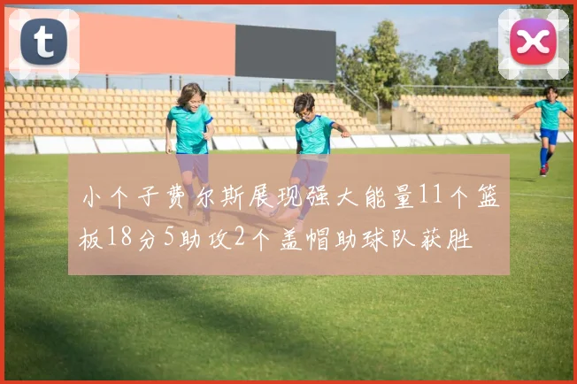 小个子费尔斯展现强大能量11个篮板18分5助攻2个盖帽助球队获胜