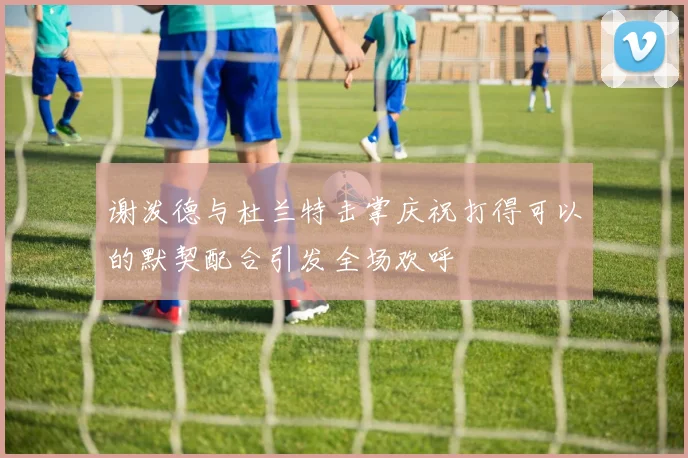 谢泼德与杜兰特击掌庆祝打得可以的默契配合引发全场欢呼